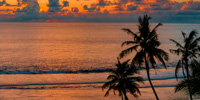 True Paradise