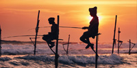 Best of Sri Lanka